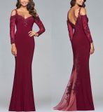 Long Sleeves Mother of The Bride Dress Wine Lace Party Evening Dress B20183