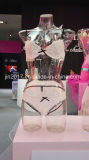Eco-Friendly Clear Female Torso Mannequins for Underwear (GSFB-003)