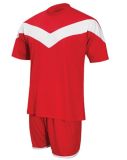 Customized Quick Dry 100% Polyester Soccer Jersey/Uniform
