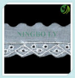 Hot Sale Polyester Tc Lace for Clothes