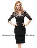 V-Neck Lace Ruched Bottom Lace Sleeve Sexy Dresses