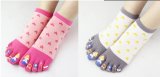 Young Girl Cuty Dress Five Toe Sock