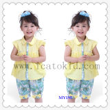 Wholesale Baby Children Summer Knit Wears Suit Children Clothing