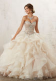 Champagne Beading Ballgown Prom Party Quinceanera Dress (89126)