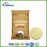 SGS-Certified Horse Lactic Acid Bacteria Equine Feed Supplements Additives