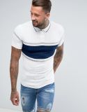 Men's Knitted Muscle Fit Polo