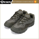 Tactical Outdoor Sports Hunting Hiking Camping Assault Shoes Wholesale