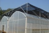 Agricultural Shade Cloth for Aquaculture and Plants