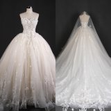 Strapless Wedding Dresses Bridal Gown Made in China Qh66004