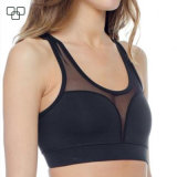 2017 Ladies Underwear Sexy Bra with Mesh New Design Latest Sexy Fashion Sport Bra