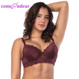Own Factory New Arrival Women Sexy Wine Red Four Cups Lace Comfortable T-Shirt Bra