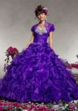 Ruffle Organza Beading Ball Dresses Quinceanera Gowns (QG007)