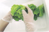 High End Disposable Gloves Powdered Vinyl Gloves for Food Industry