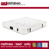 2017 High Quality High Carbon Steel Spring Bed Mattress (FB658)