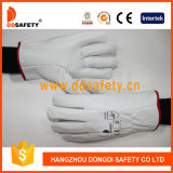 Ddsafety 2017 Goatskin Driver Glove Without Lining Straight Thumb Elastic Back