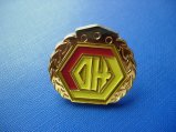 Metal Gold Plated Badge, Enamel Lapel Pin (GZHY-CY-029)