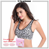 OEM Manufacturers Youth Fitness Leopard Sport Bra with Pads