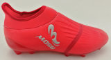 New Arrival Spandex Sock Football Sport Shoe/ Soccer Shoe