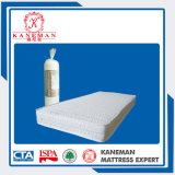 Student Cheap Quiltting Foam Mattress with High Quality