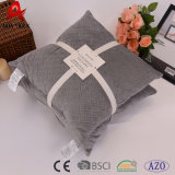 100% Polyester Micromink Wholesale Embroidered Cushion for Sofa