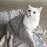Fleece Blanket for Cats Sleep Warm Bed Cushion Dog Blanket