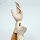 Work Glove in Surgical with Powder