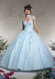 Embroidered Rosettes and Beading Quinceanera Gowns Ball Dresses (Q010)