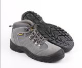 Hiking Sport Style Industrial Safety Boot (SN5238)