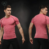 2017 Wholesale Custom Polyester Short Sleeve Sport Shirts Gym Sport Men T Shirt