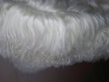 Curly Long Wool Tibetan Lamb Fur Rug Extra Large
