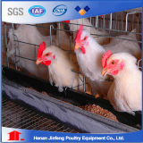 Poultry Equipment Cage with Low Price