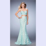Gorgeous Two-Piece Lace Gown with Nude Lining Mermaid Skirt (Dream-100089)