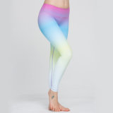 Gym Gradient Bright Color Long Yoga Ladies Leggings Pants