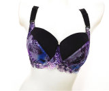 New Arrival Sexy Lace Big Size Bra Set for Lady (CS9932)
