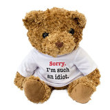 Valentine's Plush Bear Toy with T Shirt