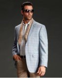 Men Fashion Business Suit 2014 Hot Style-Su006