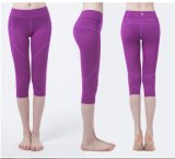 Hot Sale Women's Sportwear Pants &Lycra Tights for Lady