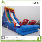 Commercial Inflatable Water Slide with Small Pool for Sales Craigslit