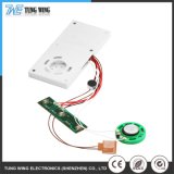 Customized Sound Module Chip for Greeting Card