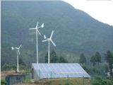 2kw 5kw Wind Turbines Price for Home