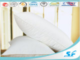 230t Polyester Peach Skin Fabric Feather Filled Pillow Cushion Insert