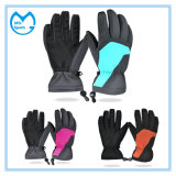 Winter Sports Anti Slip Ski Snow Full Finger Gloves