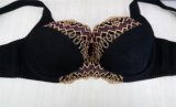New Arrival Sexy Lace Big Size Bra for Lady (CS9925)