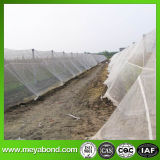 Anti Insect Net in South America Markets