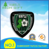 Manufacturer for Woven/Embroidery Patch with Guaranteed Delivery