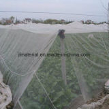 50 Mesh Agriculture Greenhouse Anti Insect Net