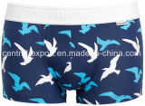 New Print Design Cotton Men's Boxer Brief Underwear