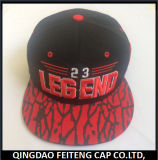 Custom High Quality Embroidery Snapback Cap and Hat