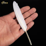Beautiful Blue Small Straight  Duck  Cocottes Goose  Feather