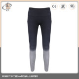 Customized Yoga Active Wear Women Fitness Tights